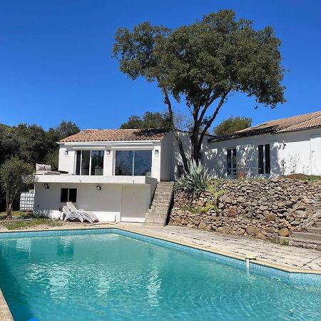 Les Terrasses Des Gardies Bed & Breakfast Pignan Dış mekan fotoğraf