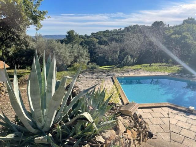 Les Terrasses Des Gardies Bed & Breakfast Pignan Dış mekan fotoğraf