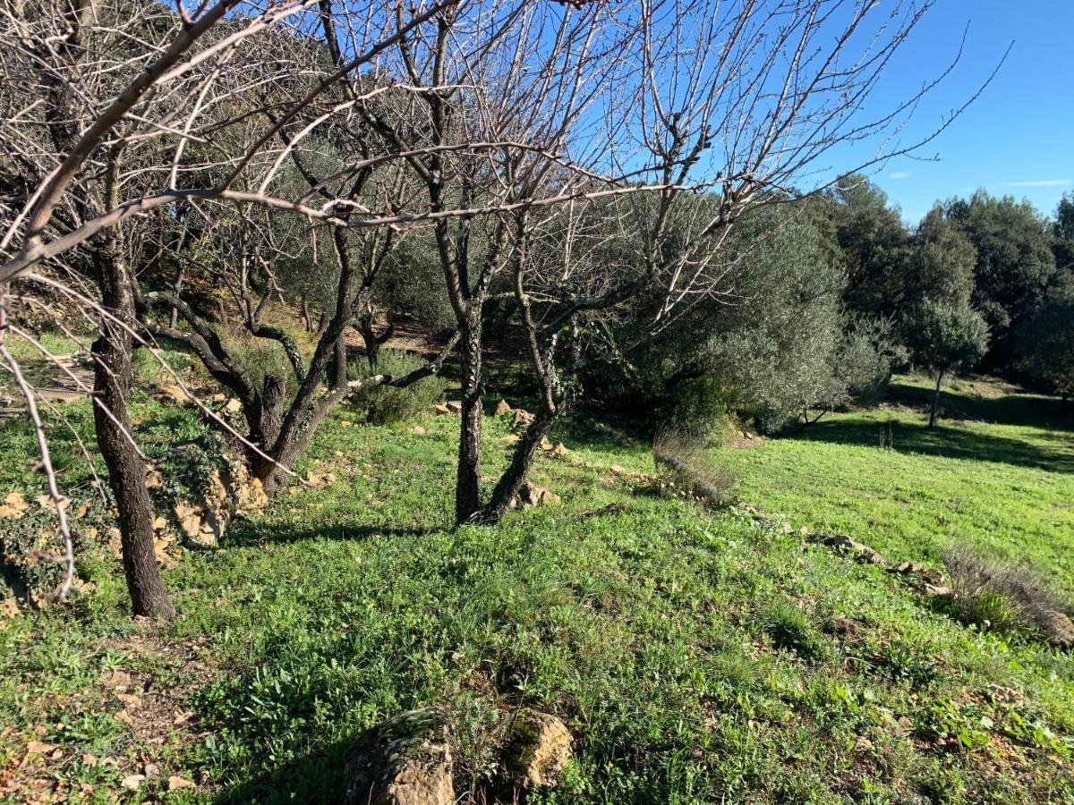 Les Terrasses Des Gardies Bed & Breakfast Pignan Dış mekan fotoğraf