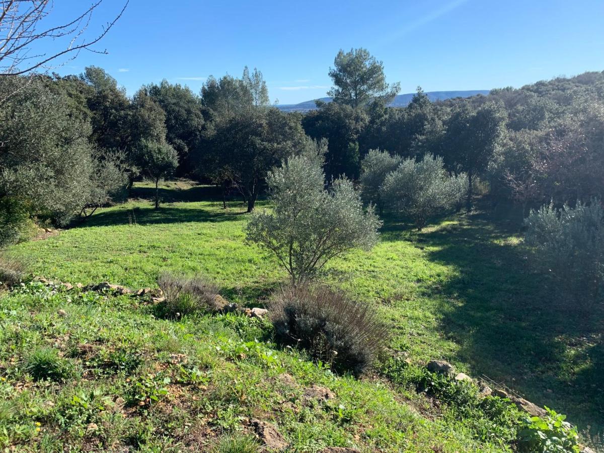 Les Terrasses Des Gardies Bed & Breakfast Pignan Dış mekan fotoğraf